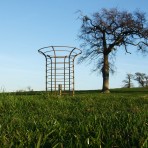 tree guards