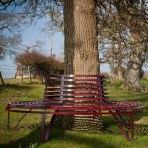 Tree Seat 1